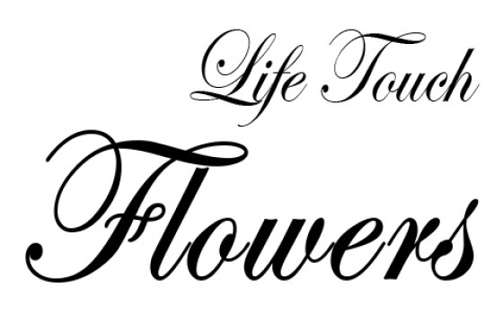 logo Life Touch6